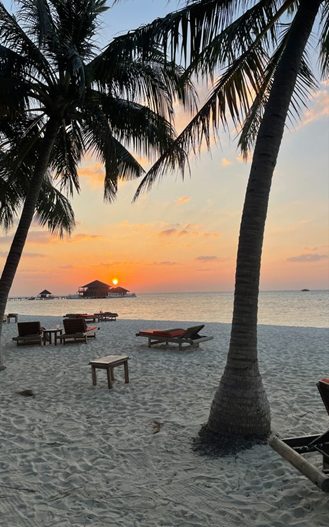A palm-fringed beach at sunset with a hammock and loungers