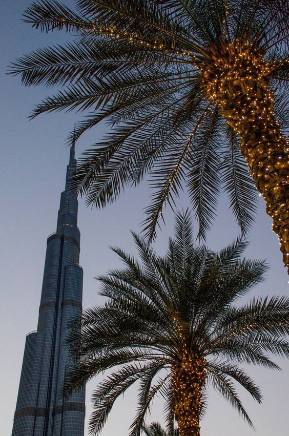 Palms in front of a very tall tower at dusk