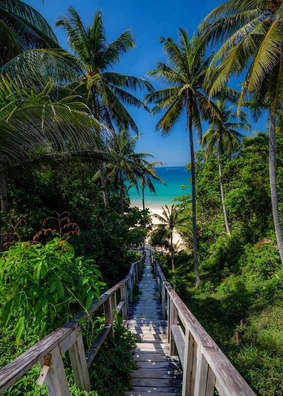 A boardwalk climbing through a palm garden towards the sea